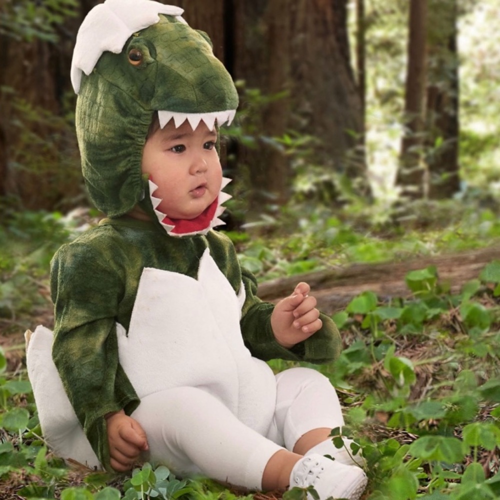 Pottery Barn Green Dinosaur Costume for Kids